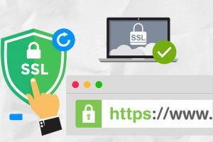 Hướng dẫn cài đặt SSL trên Plesk