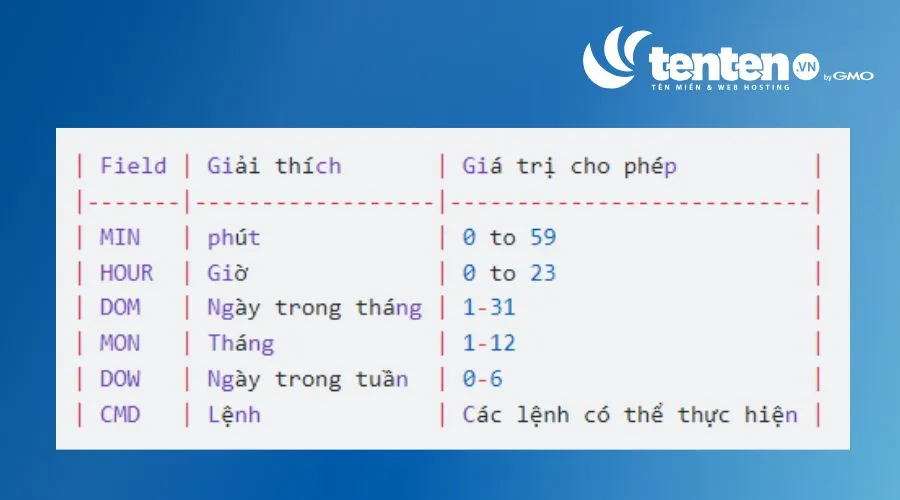 Giá trị thời gian của Crontab