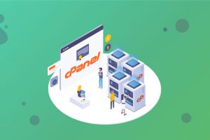 Hướng dẫn reset hosting linux trên Cpanel
