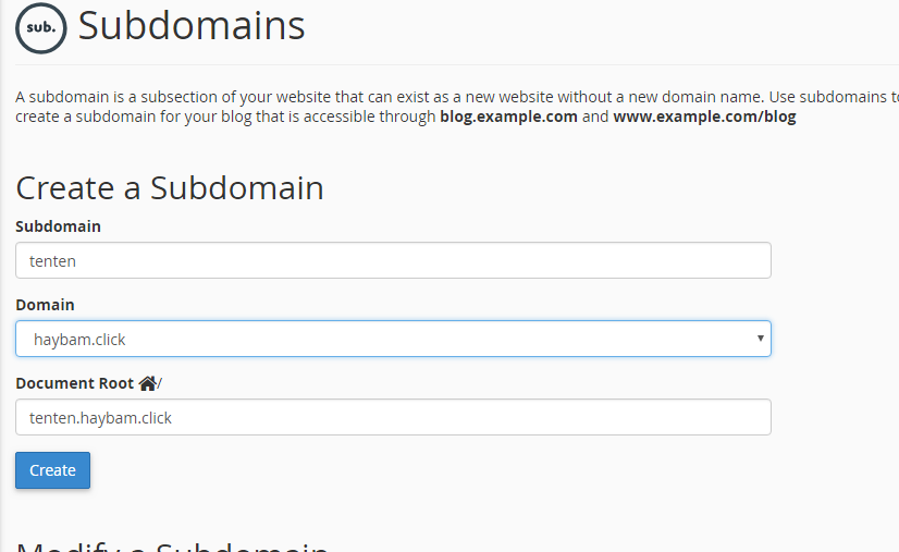 Nhập thông tin để tạo subdomain 