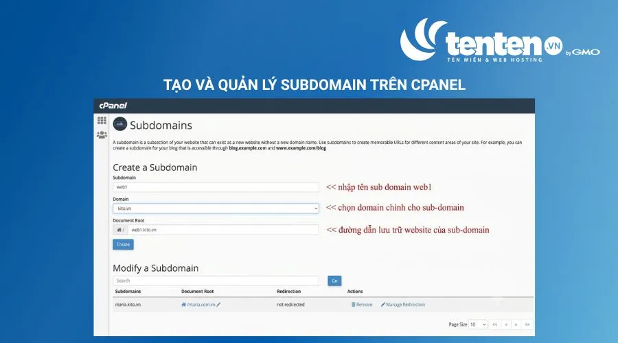 Tại mục Domains, chọn Subdomains