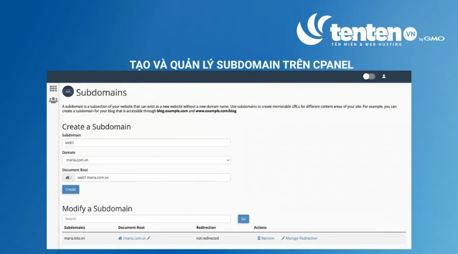 Thêm subdomain web1 cho tên miền chính