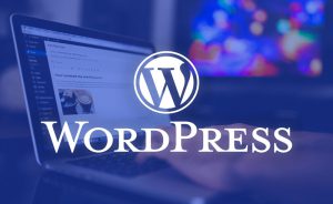 Chi tiết 8 bước chuyển đổi tên miền giữ nguyên SEO cho Website WordPress 