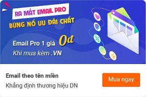 Mua .VN tặng Email Pro 1 miễn phí, nhận gói quà tặng 1.350K, tặng .shop 890K