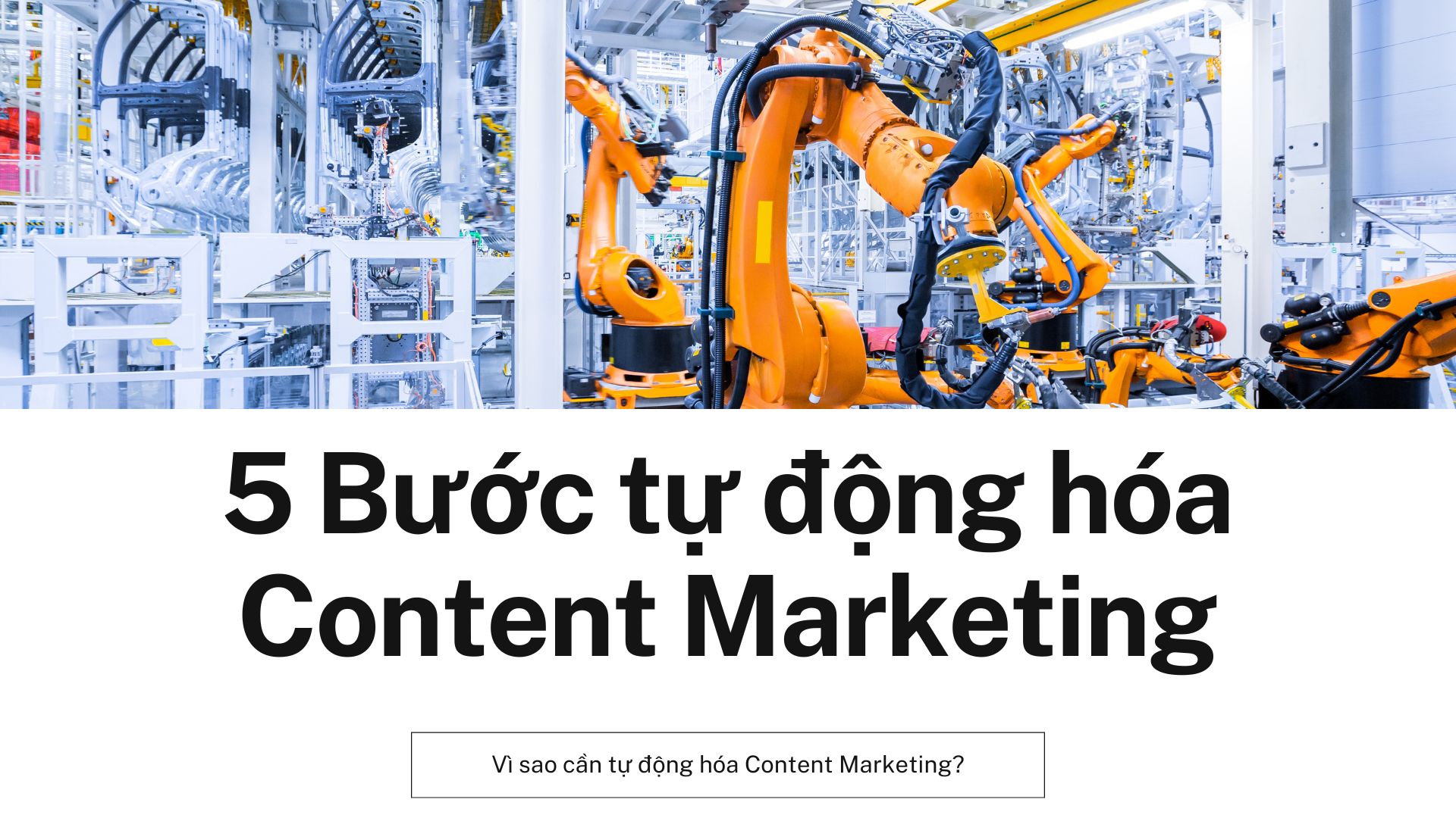 5 Bước tự động hóa Content Marketing