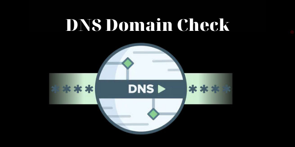 dns domain check