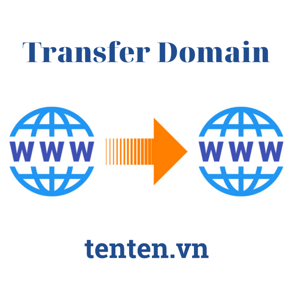 Cách Transfer Domain đơn giản, hiệu quả cùng TenTen 2022