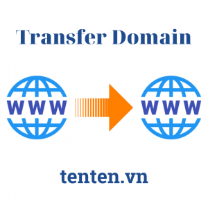 Cách Transfer Domain đơn giản, hiệu quả cùng TenTen 2022