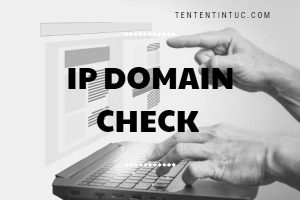 Ip domain check là gì? 6 gợi ý cho bạn về IP domain check