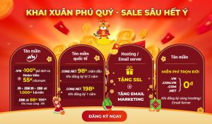 [Từ 08-11/02/2021] .VN hoàn 55k/domain/tặng thẻ điện thoại, .VN + .COM.VN tặng .COM 0đ | Tặng SSL + Email Marketing khi đăng ký Hosting/Email Server