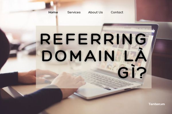 referring domain
