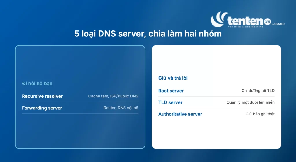 5 loại DNS server chia làm hai nhóm: recursive resolver và forwarding server thuộc nhóm đi hỏi hộ, root/TLD/authoritative server thuộc nhóm giữ và trả lời