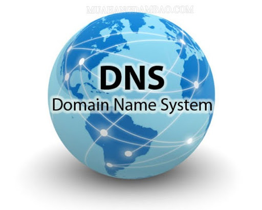 Làm thế nào để kiểm tra hiệu suất của dịch vụ DNS server?