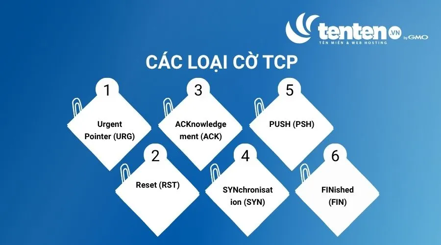 Các loại cờ TCP