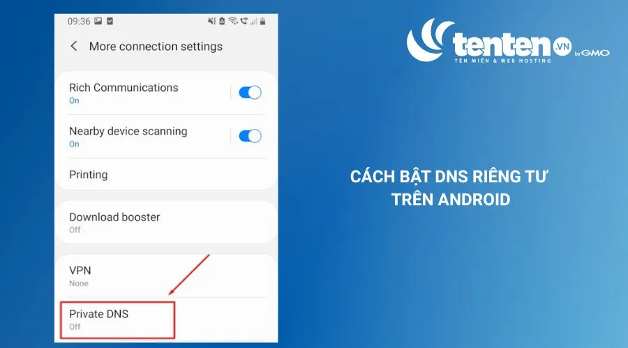 Chọn Private DNS
