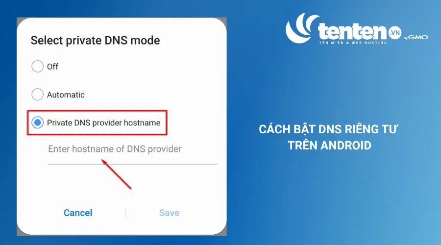 Chọn tên máy chủ của nhà cung cấp Private DNS

