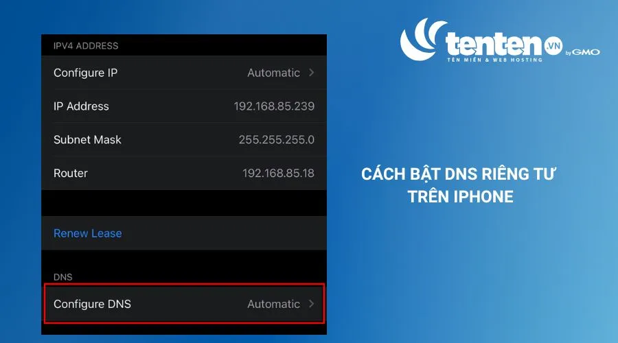 Cuộn xuống và chọn Định cấu hình DNS
