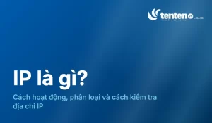 IP là gì? Cách hoạt động và kiểm tra địa chỉ IP