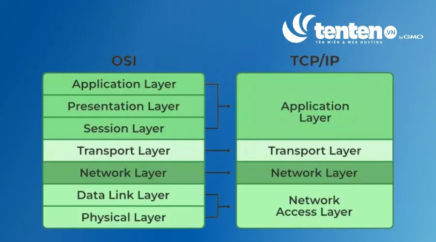 Mô hình TCP/IP và OSI