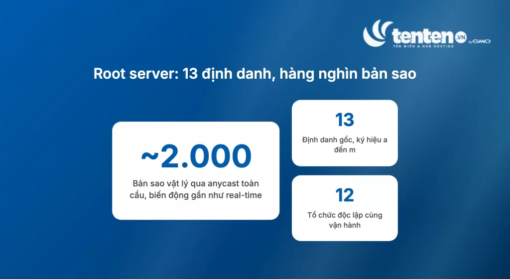 Root server gồm 13 định danh ký hiệu a đến m, nhân bản thành khoảng 2.000 bản sao vật lý qua anycast, do 12 tổ chức độc lập vận hành