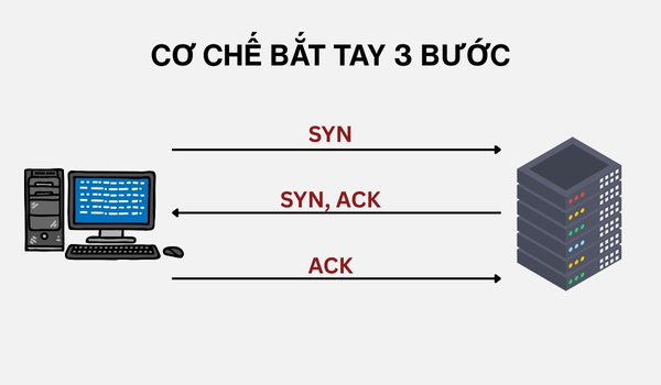 giao thức tcp