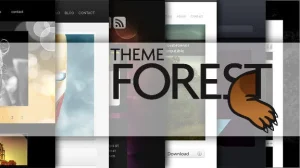 2 Điểm khác nhau giữa Theme forest và Theme wordpress Tenten