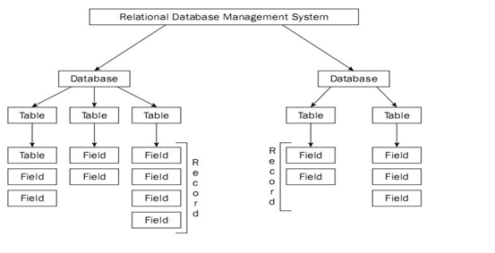 Phân loại và mối liên hệ giữa các hệ cơ sở dữ liệu