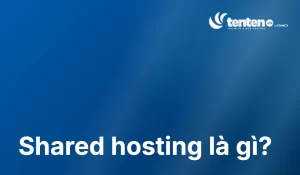 Shared Hosting là gì? Ưu, nhược điểm và cách chọn đúng