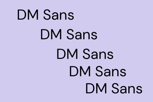 DM Sans