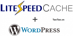 Hướng dẫn cài đặt plugin LiteSpeed Cache cho WordPress trong vòng 3 phút