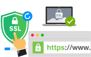 SSL Checker là gì? Cách kiểm tra ngày hết hạn của chứng chỉ SSL
