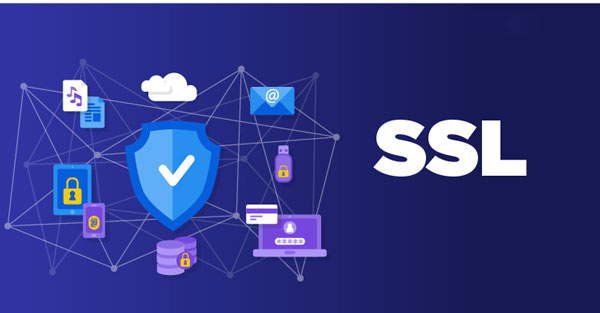 SSL Checker Online