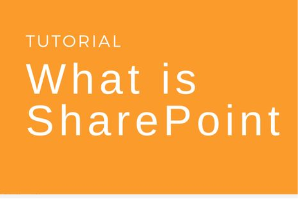 Sharepoint là gì? 4 điều cần biết về Sharepoint
