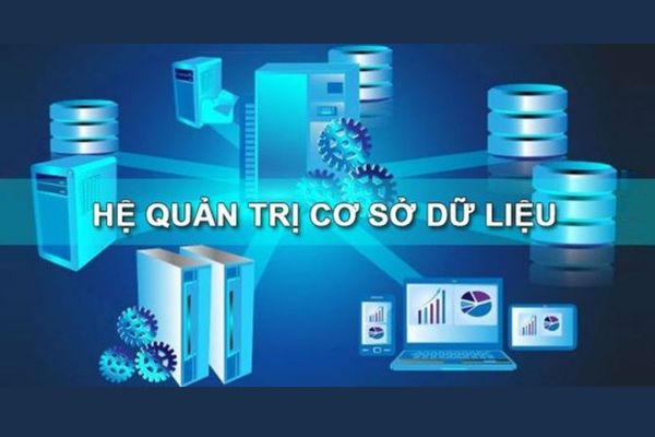 Top 2 hệ quản trị cơ sở dữ liệu là gì?