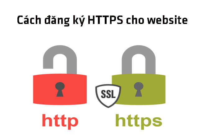 Hướng dẫn cách cài đặt chứng chỉ SSL cho website 2024