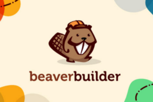 7 thành phần của Beaver builder là gì?