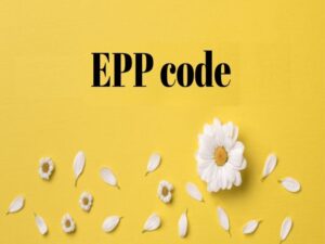 EPP là gì? Vai trò của epp đối với doanh nghiệp