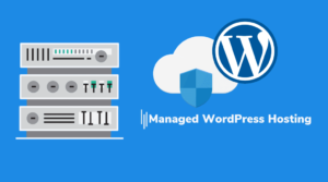 Tìm hiểu 4 phiên bản Managed WordPress Hosting tốt nhất