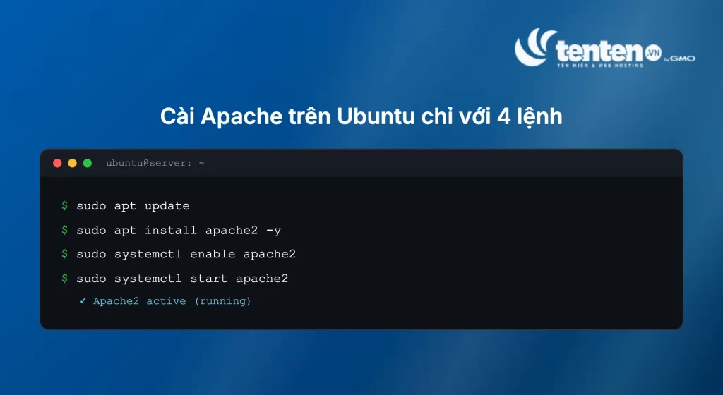 Mockup terminal hiển thị 4 lệnh cài đặt Apache trên Ubuntu và kết quả service đang chạy
