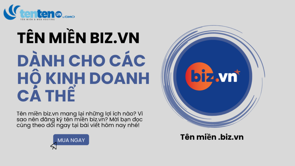 Tên miền biz vn là gì? Cơ hội tốt cho hộ kinh doanh cá thể | Đăng ký ngay