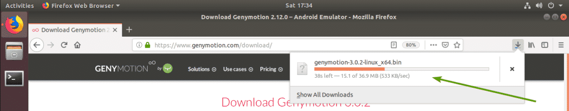 Save File trình cài đặt Genymotion