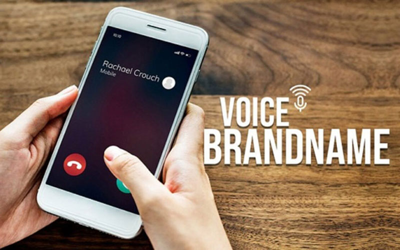 Các ứng dụng của Voice Brandname