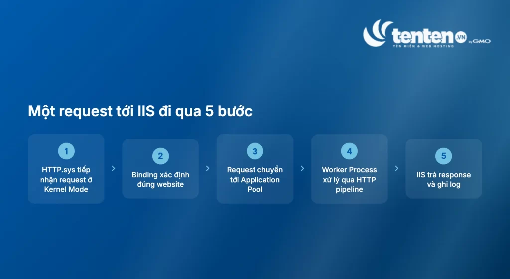 Năm bước xử lý một request trong IIS, từ HTTP.sys tiếp nhận đến Binding, Application Pool, Worker Process và trả response