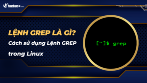 Lệnh GREP là gì? 11 Cách sử dụng lệnh GREP trong linux