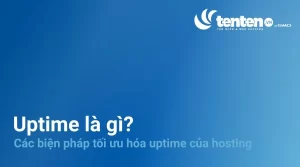 Uptime là gì? Các biện pháp tối ưu hóa Uptime của hosting