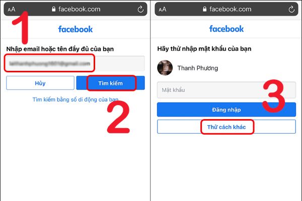 Đặt lại mật khẩu nếu bạn không đăng nhập được để lấy lại tài khoản Facebook bị hack
