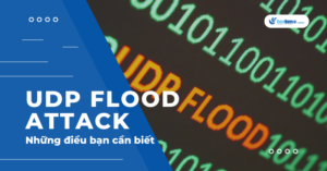 UDP Flood Attack là gì? Cách phát hiện và hạn chế DDoS