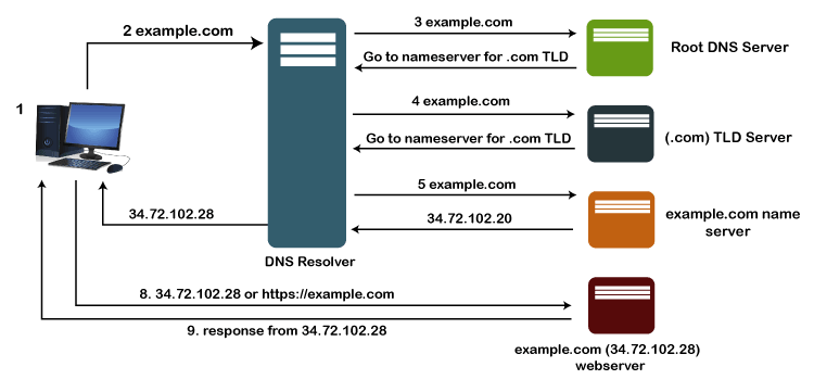 DNS Lookup