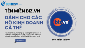 Điều kiện đăng ký tên miền biz.vn miễn phí, nhanh & đơn giản