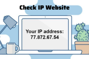 Chi tiết 7 cách Check IP Website nhanh chóng, hiệu quả nhất